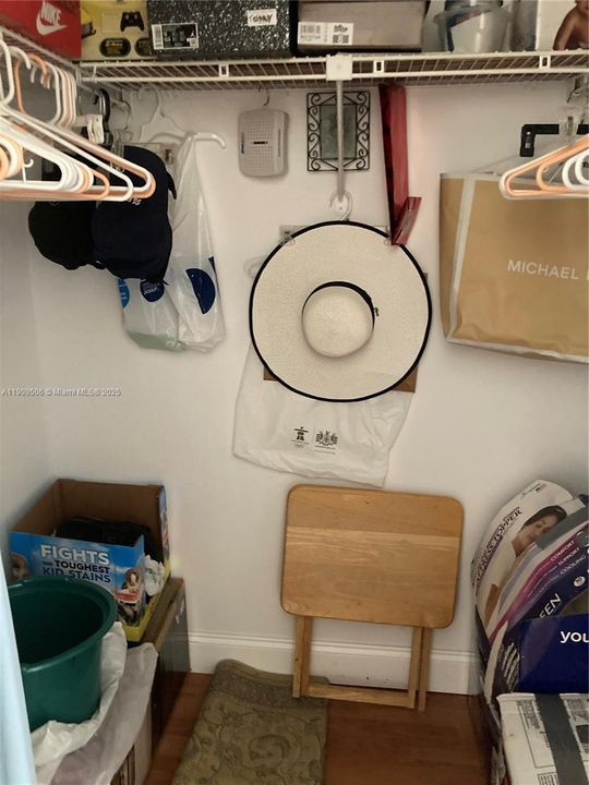 Walking Closet in Guest Bedroom