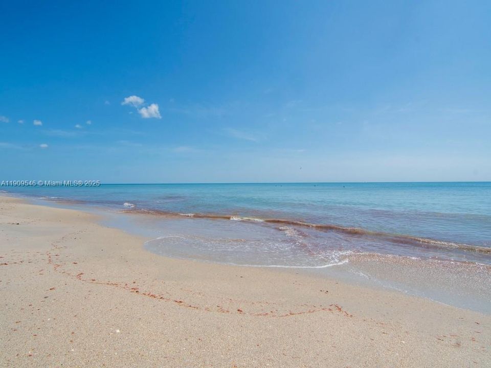 В аренду: $1,950 (3 спален, 1 ванн, 910 Квадратных фут)