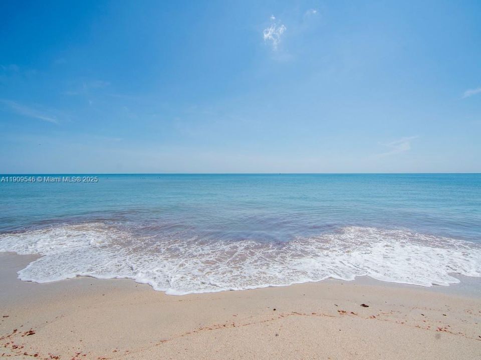 В аренду: $1,950 (3 спален, 1 ванн, 910 Квадратных фут)