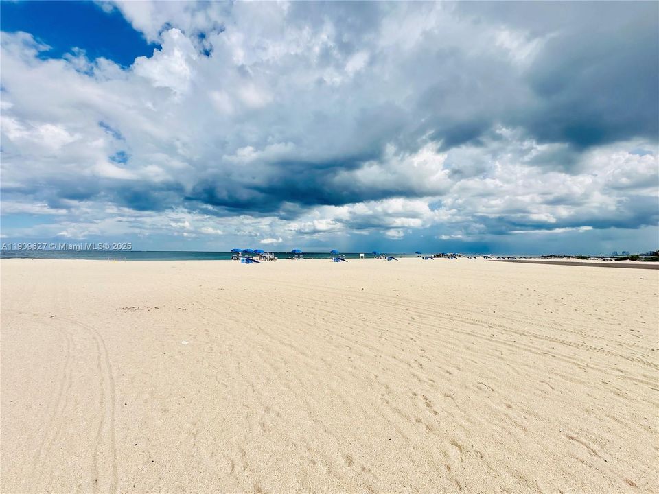 合同活跃: $1,600 (1 贝兹, 1 浴室, 685 平方英尺)