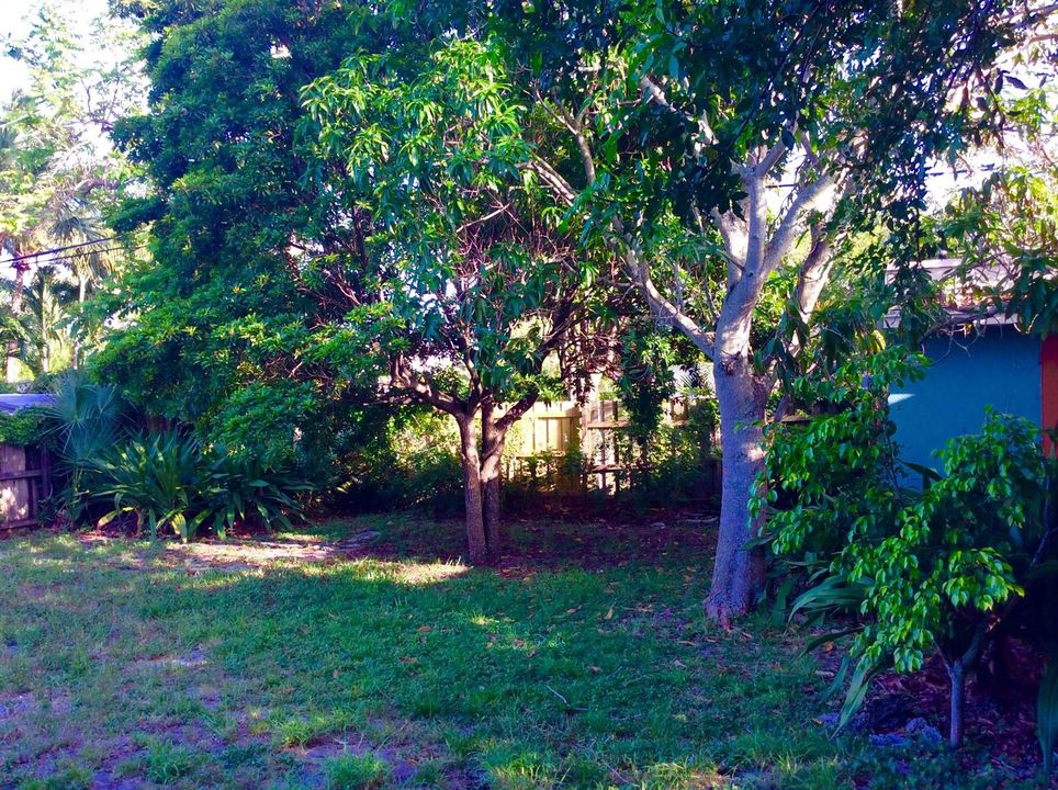 382 ELLAMAR BACKYARD AREA