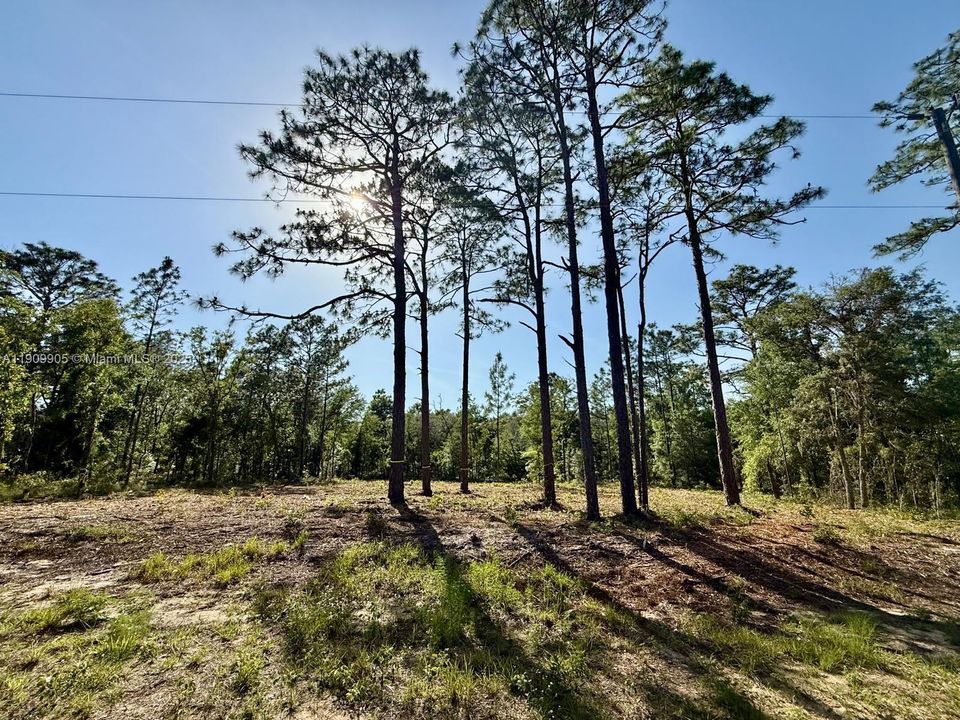 For Sale: $22,000 (0.23 acres)