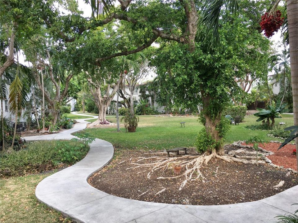 合同活跃: $2,350 (2 贝兹, 1 浴室, 800 平方英尺)