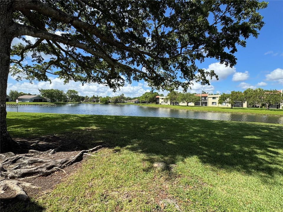 Active With Contract: $3,199 (3 beds, 2 baths, 1480 Square Feet)