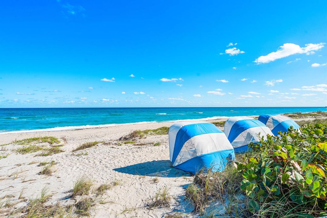 Beach Cabanas