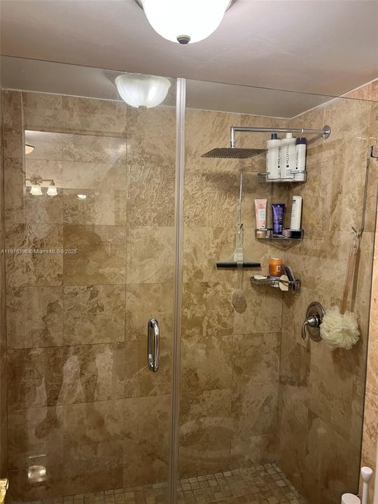 Master Bath Enclosure