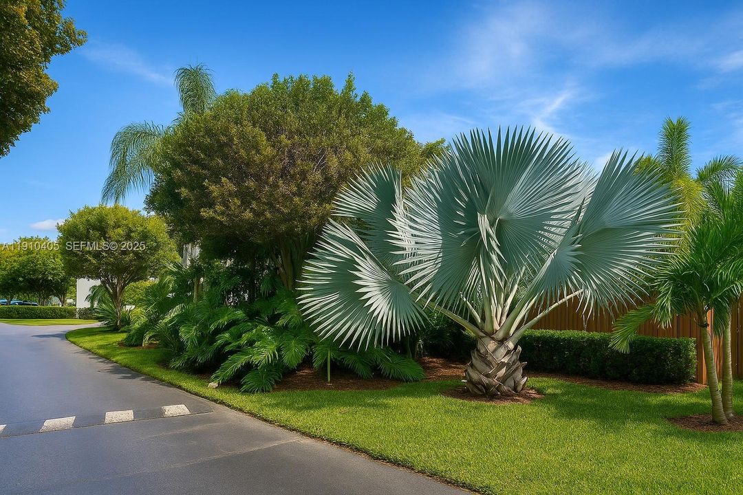 En Venta: $655,000 (4 camas, 3 baños, 1808 Pies cuadrados)