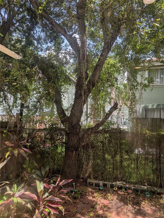 For Sale: $305,000 (2 beds, 2 baths, 1166 Square Feet)