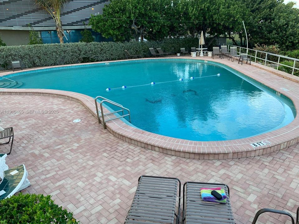 В аренду: $2,300 (1 спален, 1 ванн, 650 Квадратных фут)