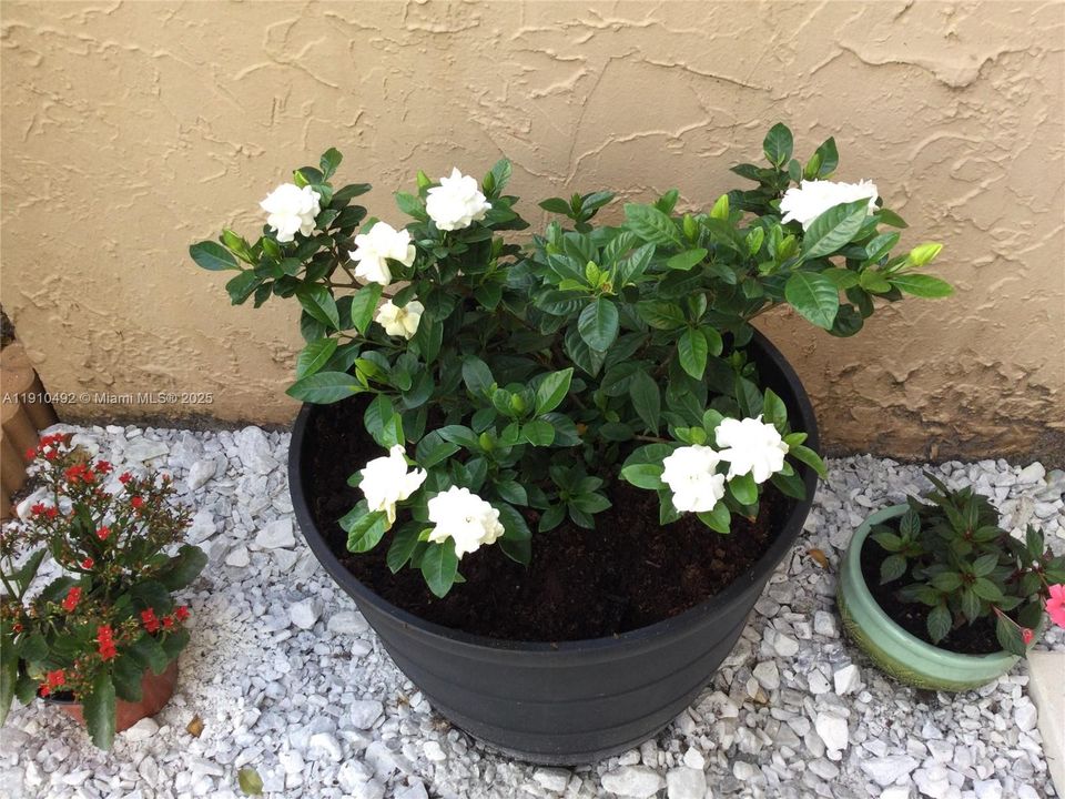 На продажу: $220,000 (2 спален, 2 ванн, 1160 Квадратных фут)