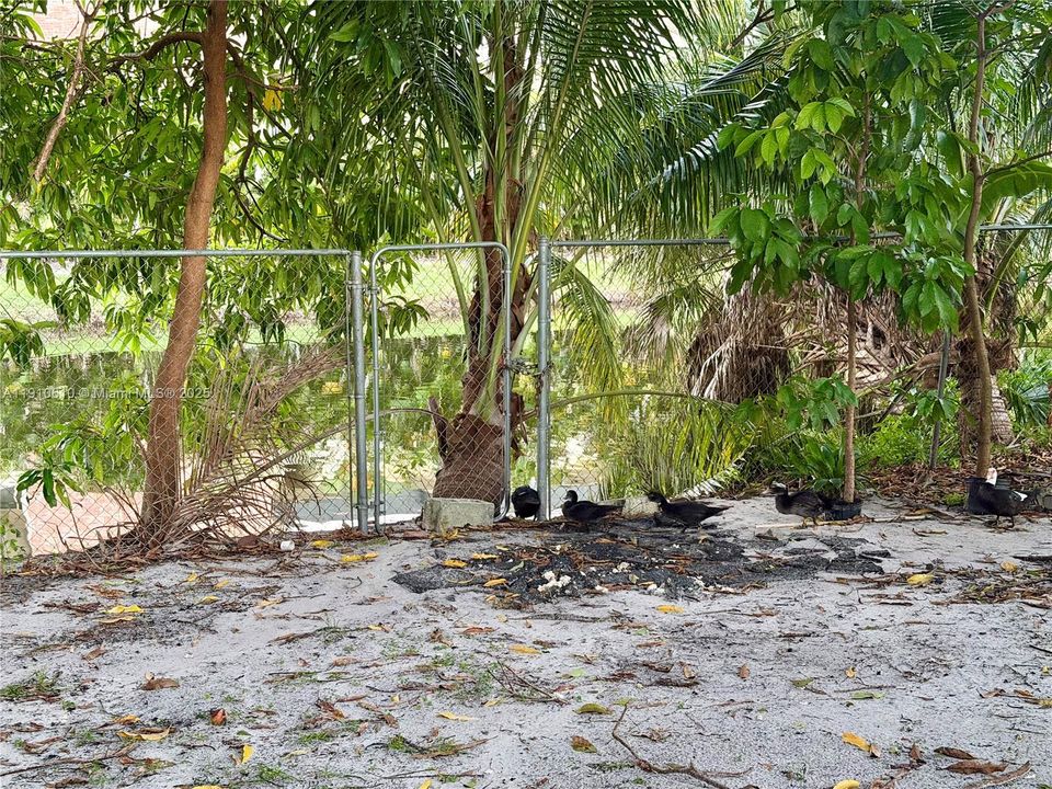 На продажу: $499,000 (3 спален, 3 ванн, 1946 Квадратных фут)