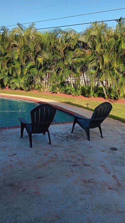 出租: $1,300 (1 贝兹, 1 浴室, 300 平方英尺)