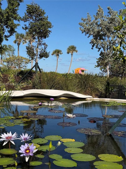 Newly completed park and boardwalk, just beautiful.