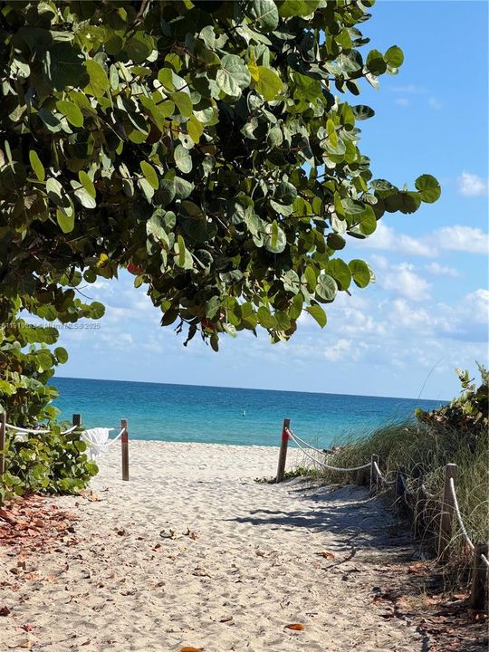 Imagine being able to walk outside to this!