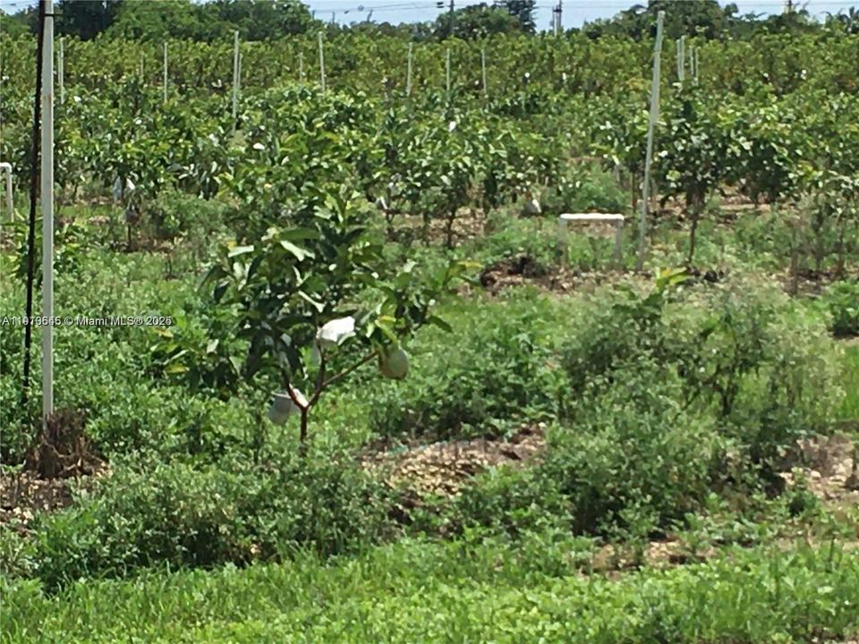 На продажу: $1,298,000 (0 спален, 0 ванн, 0 Квадратных фут)