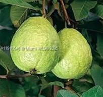 На продажу: $1,298,000 (0 спален, 0 ванн, 0 Квадратных фут)