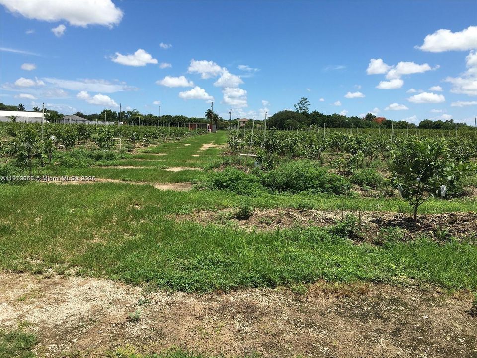 На продажу: $1,298,000 (0 спален, 0 ванн, 0 Квадратных фут)