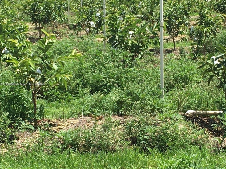 На продажу: $1,298,000 (0 спален, 0 ванн, 0 Квадратных фут)