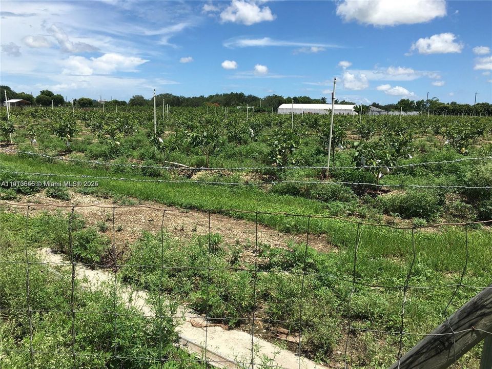 На продажу: $1,298,000 (0 спален, 0 ванн, 0 Квадратных фут)