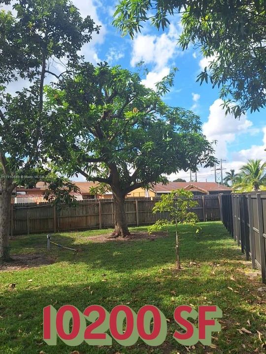 Active With Contract: $3,900 (3 beds, 2 baths, 1578 Square Feet)