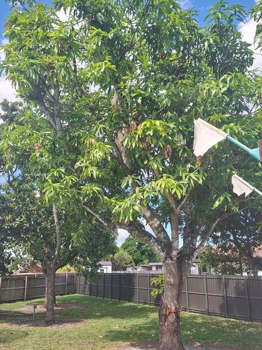 Active With Contract: $3,900 (3 beds, 2 baths, 1578 Square Feet)