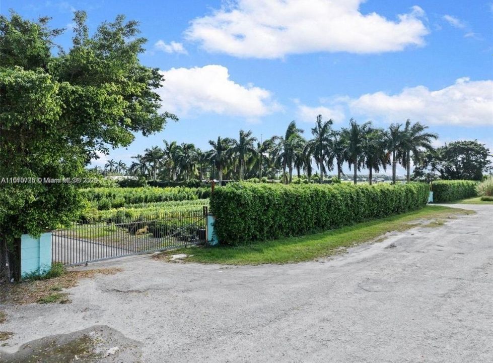 For Rent: $9,000 (6 beds, 4 baths, 1507 Square Feet)