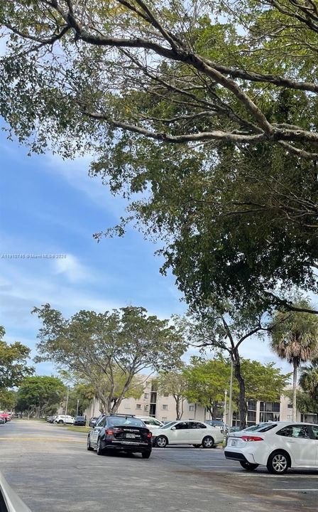 合同活跃: $220,000 (3 贝兹, 2 浴室, 1040 平方英尺)