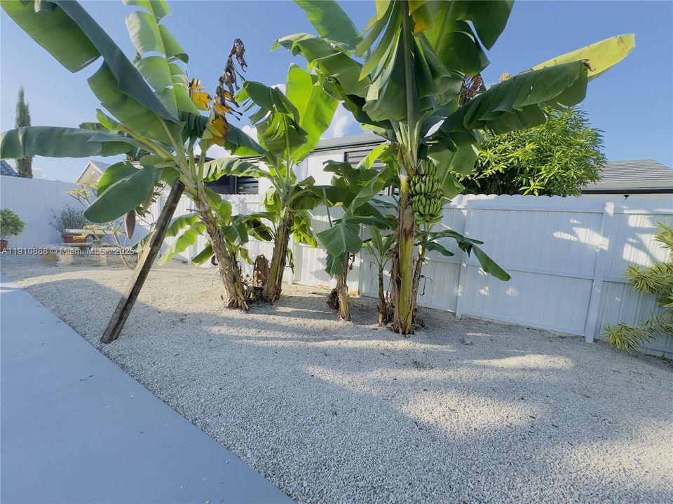 На продажу: $649,000 (3 спален, 2 ванн, 1364 Квадратных фут)