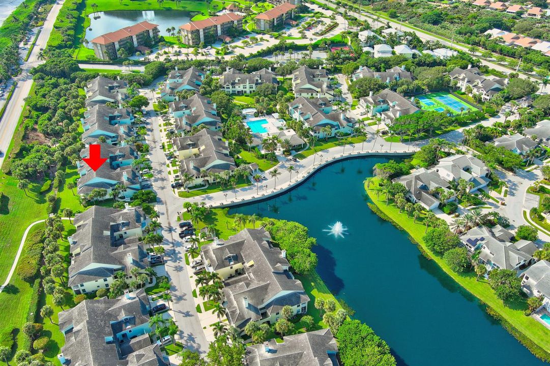 Aerial View Sea Colony