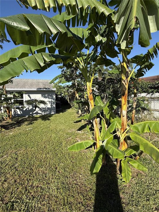 Active With Contract: $389,000 (3 beds, 3 baths, 1512 Square Feet)