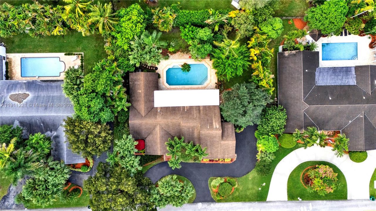 Elegant neighborhood