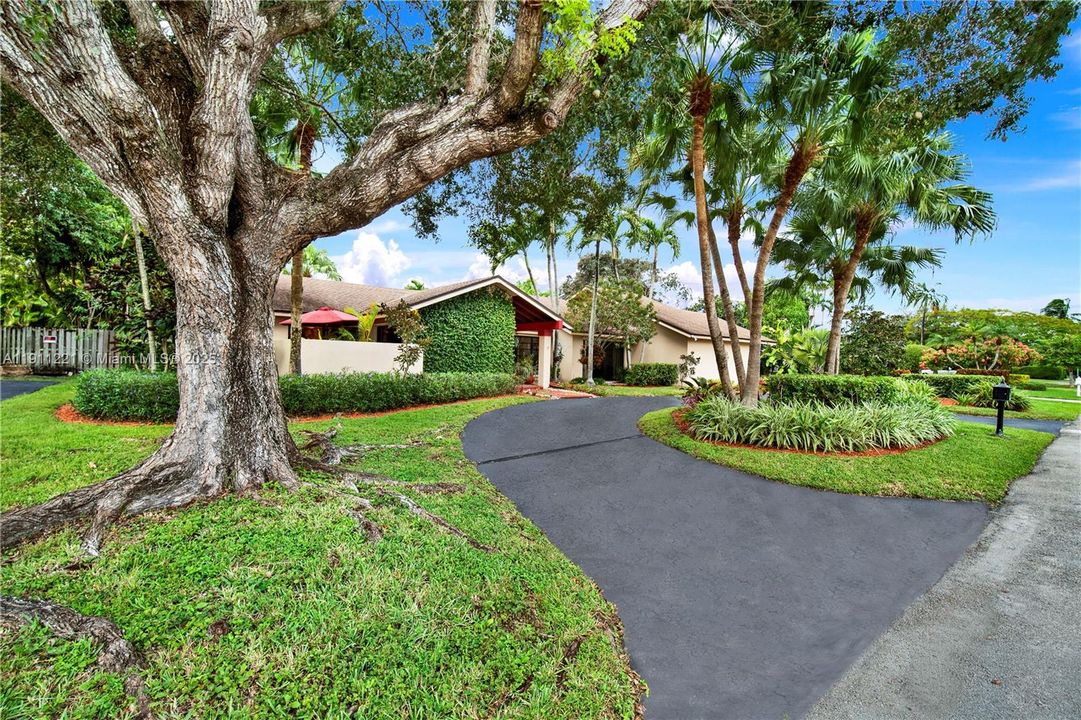 Front of Home Driveway