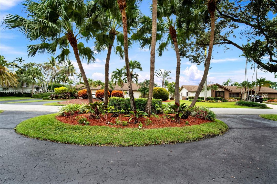 Street View of Front Garden