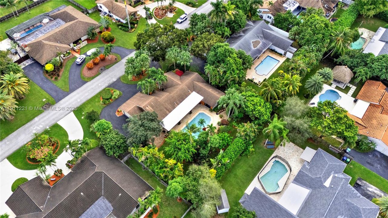 Elegant neighborhood