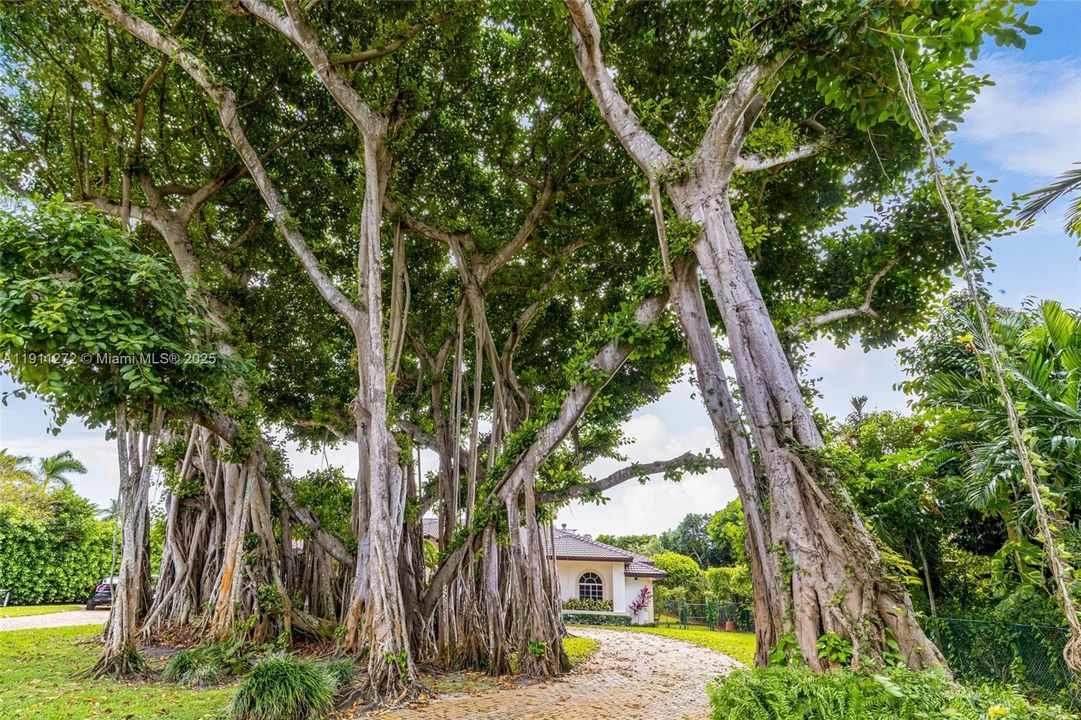 For Sale: $3,350,000 (5 beds, 4 baths, 4031 Square Feet)