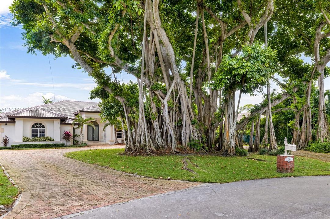 For Sale: $3,350,000 (5 beds, 4 baths, 4031 Square Feet)