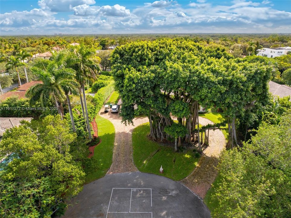 For Sale: $3,350,000 (5 beds, 4 baths, 4031 Square Feet)