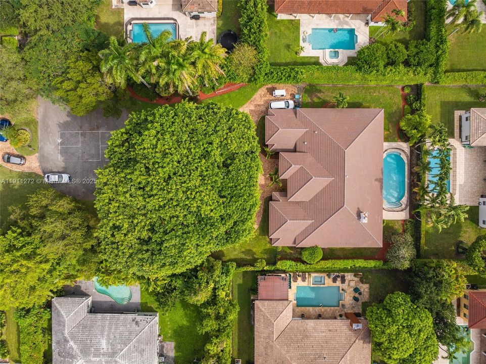 For Sale: $3,350,000 (5 beds, 4 baths, 4031 Square Feet)