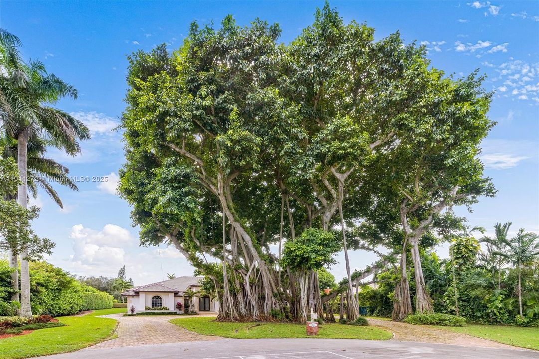 For Sale: $3,350,000 (5 beds, 4 baths, 4031 Square Feet)