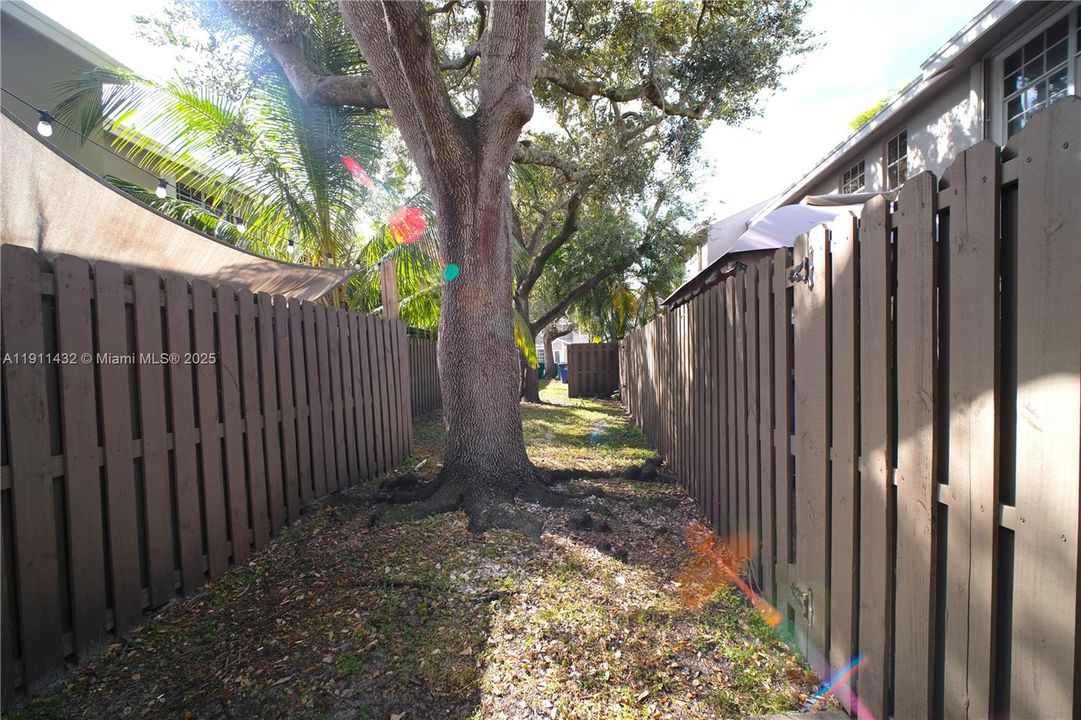 Privacy buffer behind rear yard