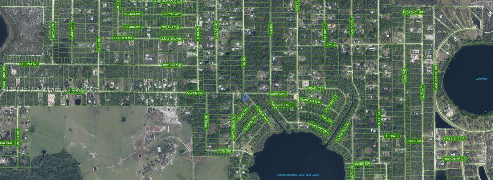 For Sale: $14,900 (0.25 acres)