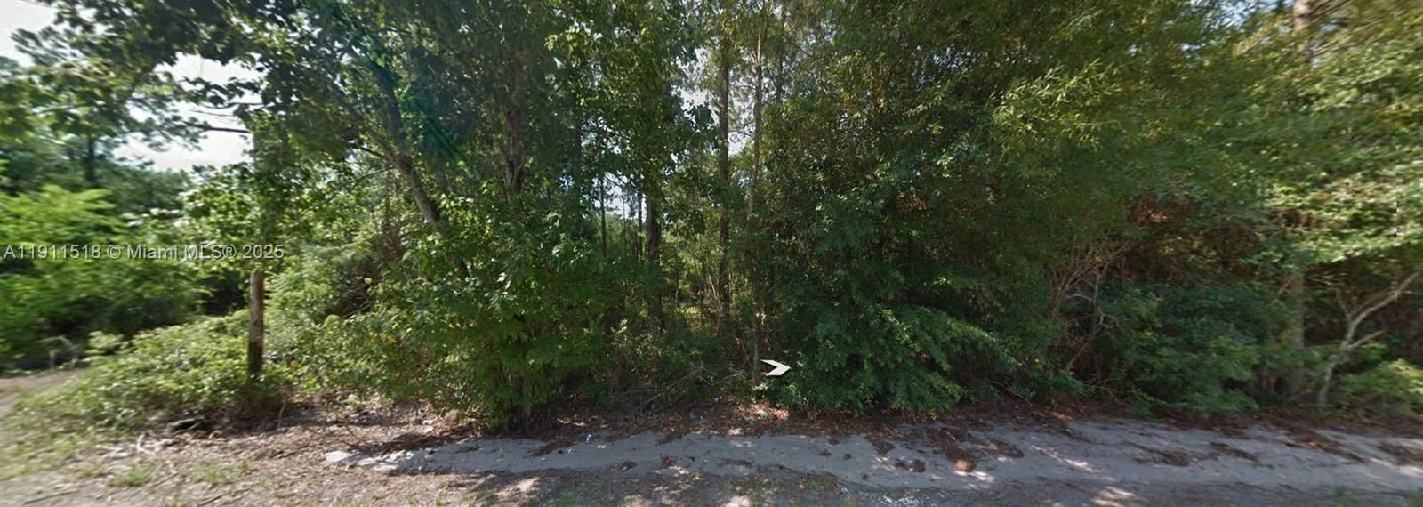 For Sale: $14,900 (0.25 acres)