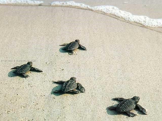 For Rent: $4,000 (2 beds, 2 baths, 1880 Square Feet)