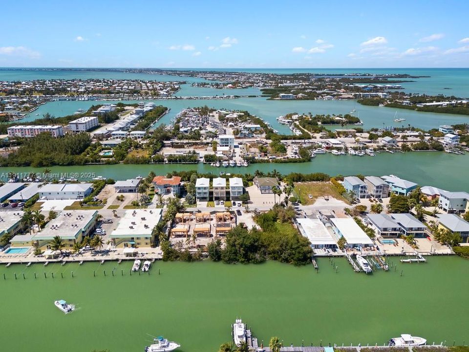 出租: $14,000 (5 贝兹, 4 浴室, 6252 平方英尺)