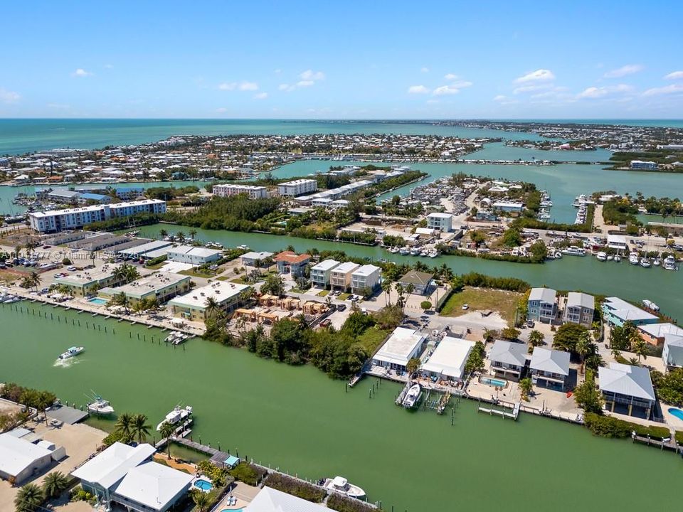 出租: $14,000 (5 贝兹, 4 浴室, 6252 平方英尺)