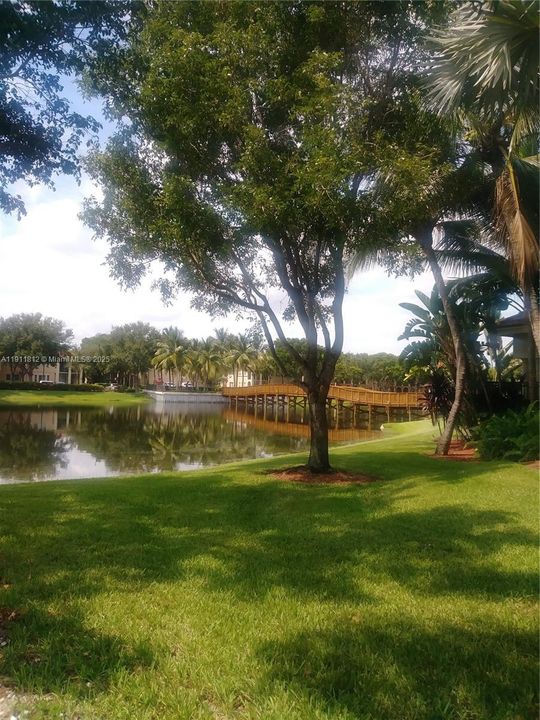 Active With Contract: $2,100 (1 beds, 1 baths, 0 Square Feet)