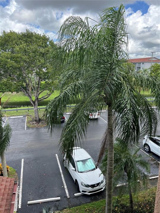 View from Outside walkway.