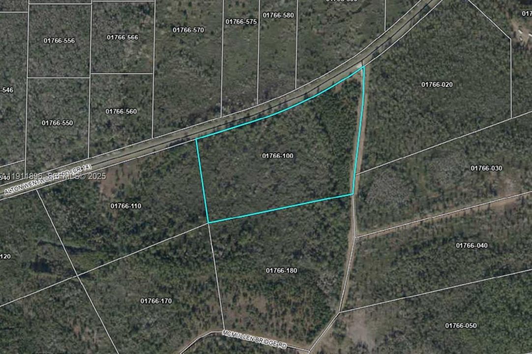 For Sale: $89,000 (17.20 acres)