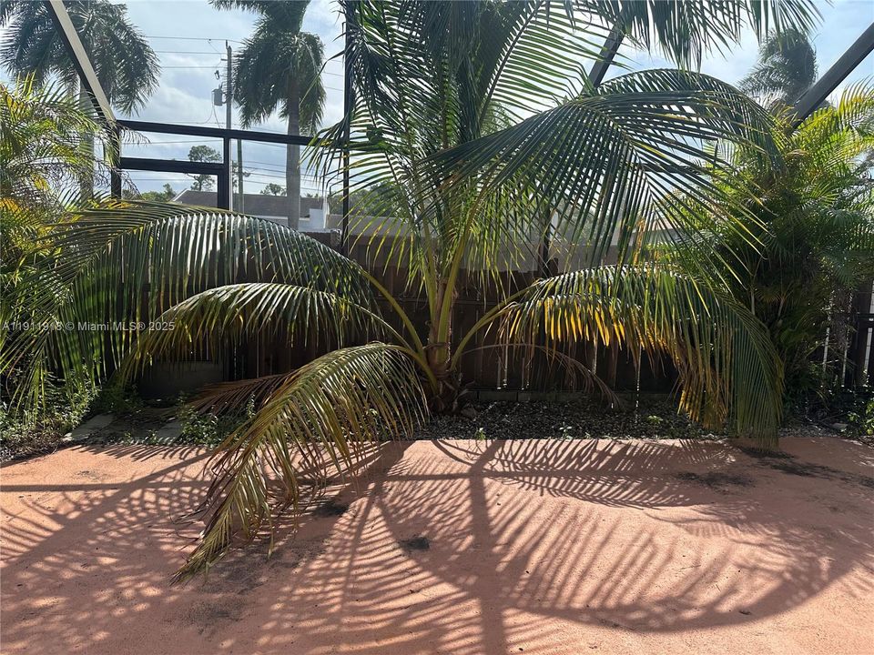 На продажу: $520,000 (3 спален, 2 ванн, 1492 Квадратных фут)