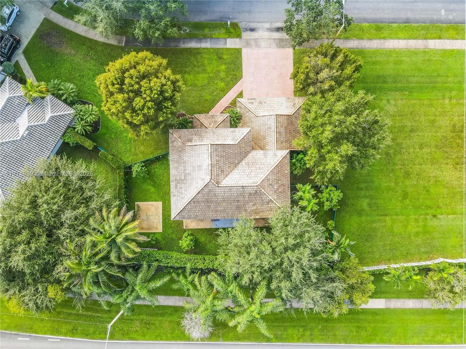 В аренду: $6,000 (5 спален, 3 ванн, 3582 Квадратных фут)